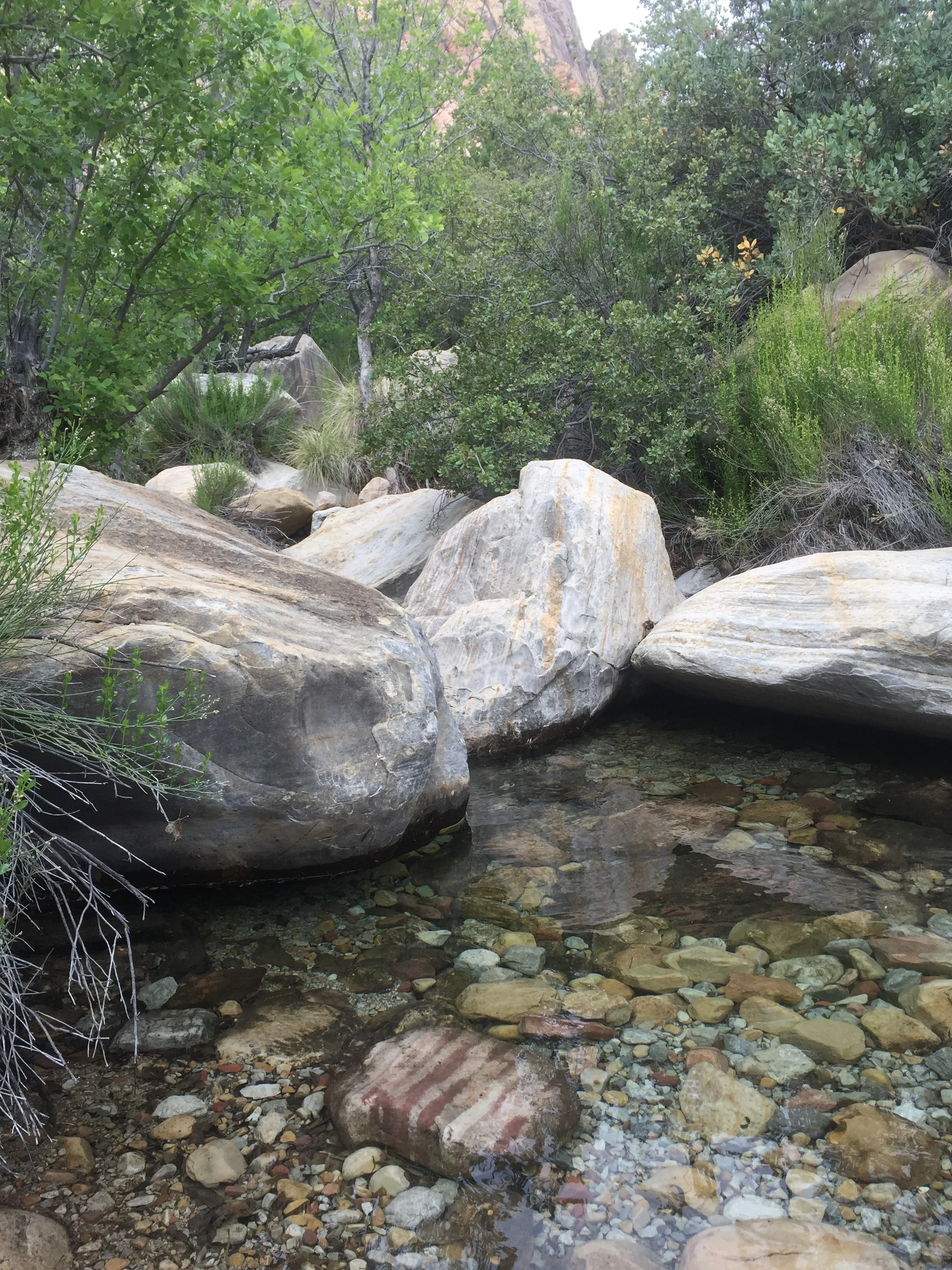 You can scramble down rocks to see the streams or springs.