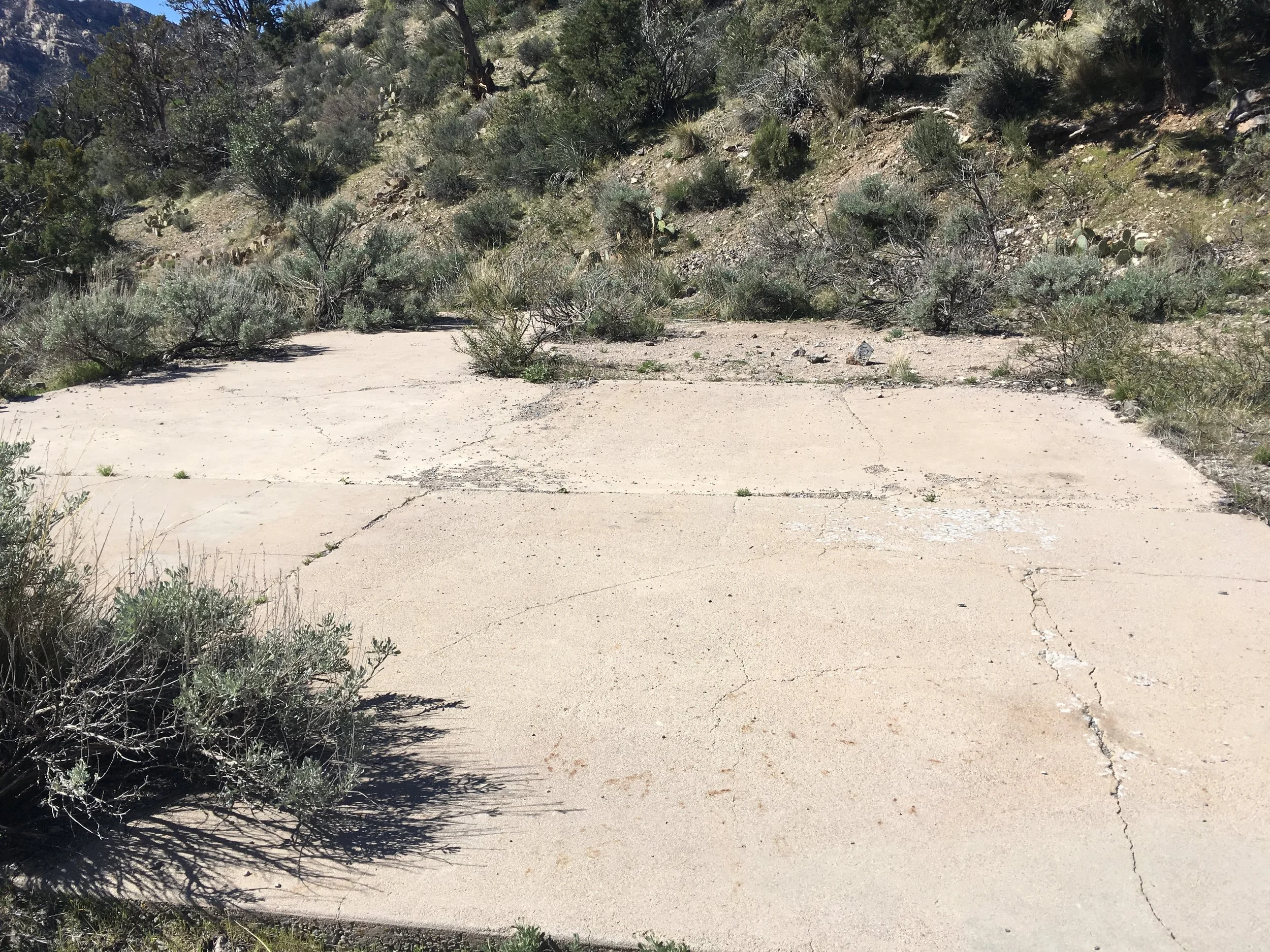 The second remains of an old cabin. 