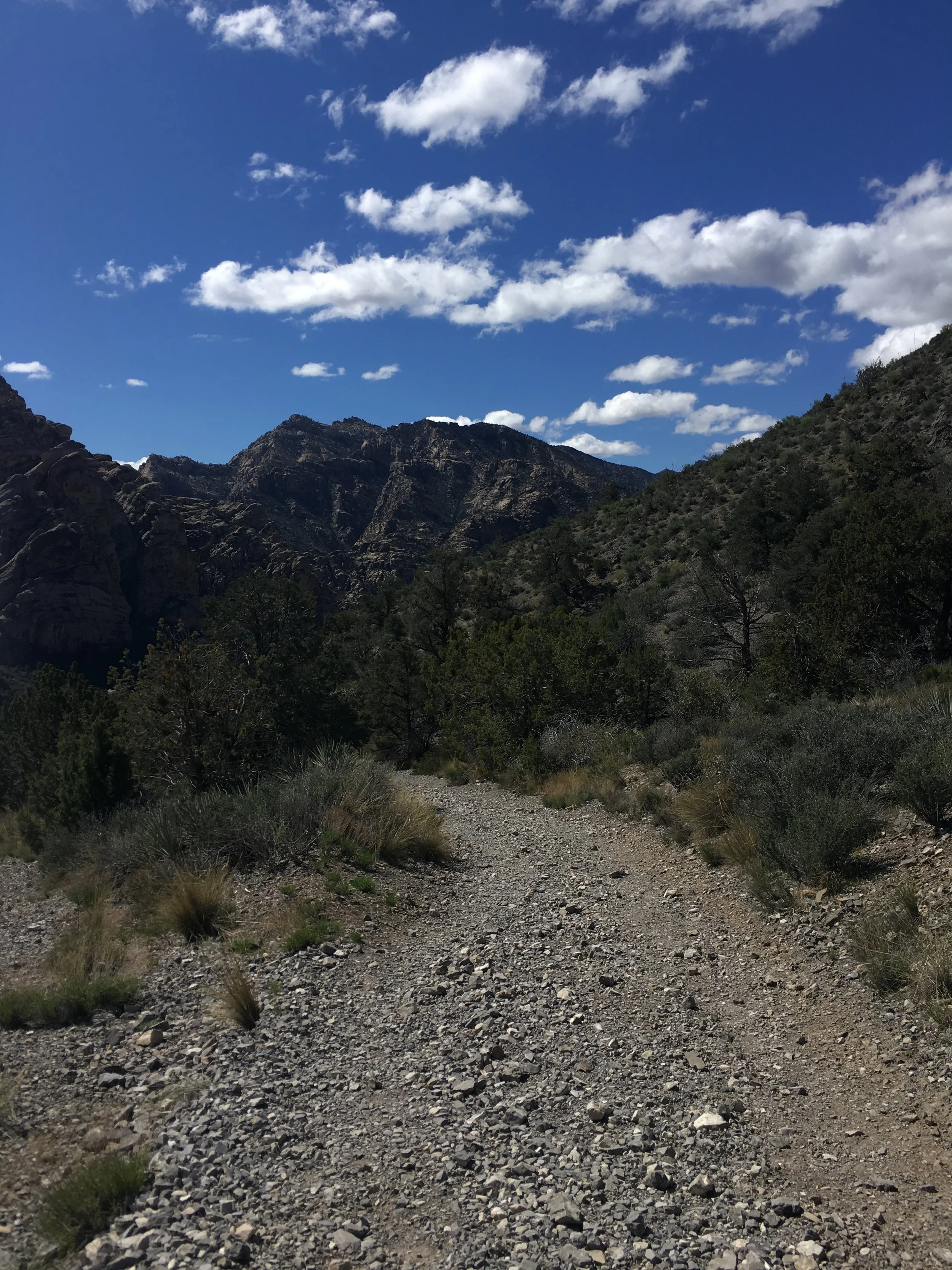 The view going back down. 