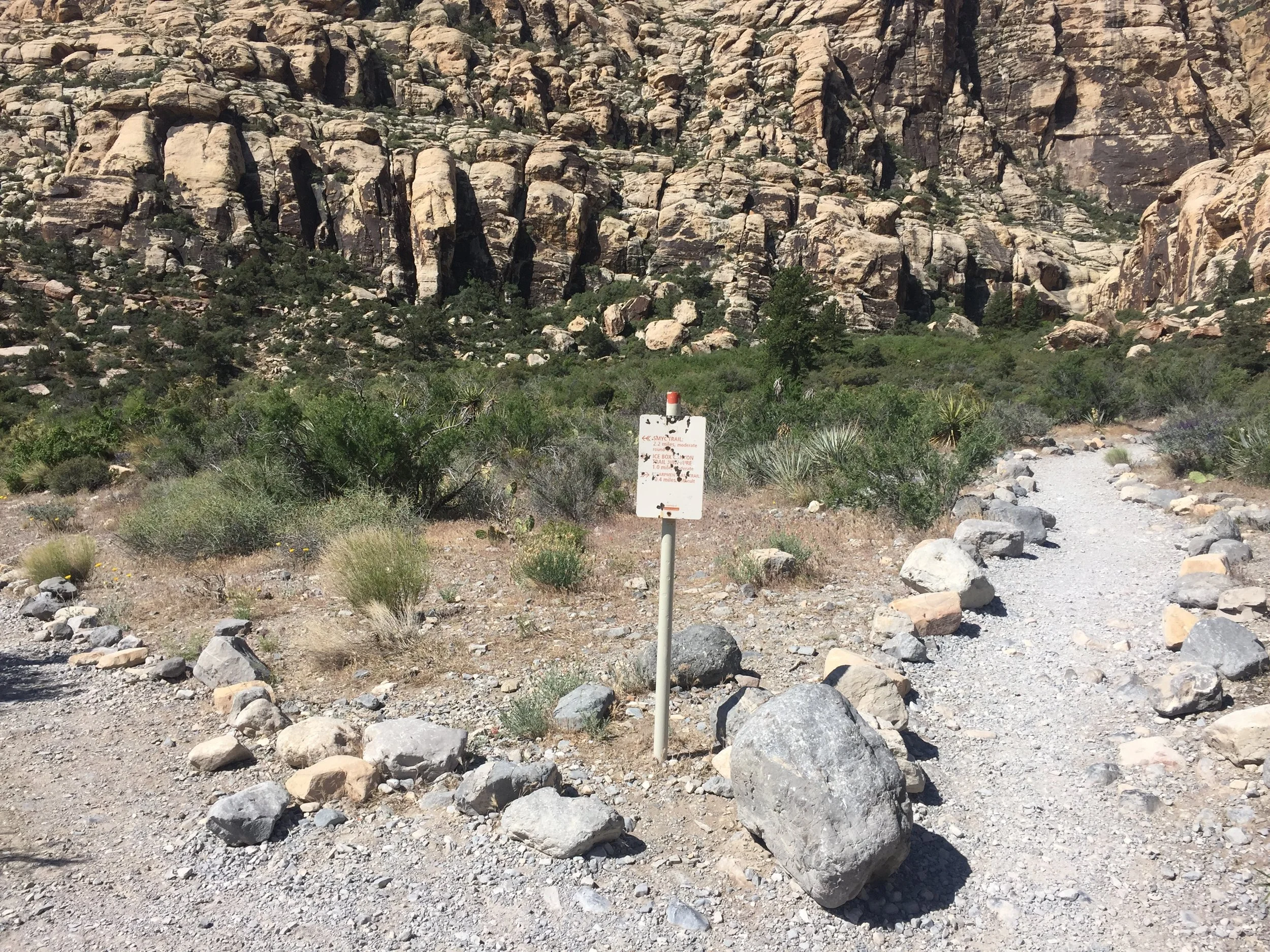 Beginning of the trail.