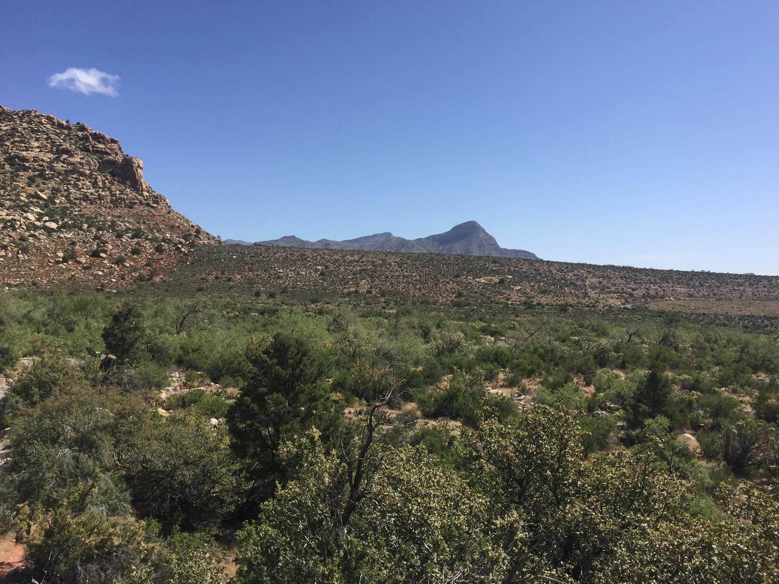 Beautiful views.