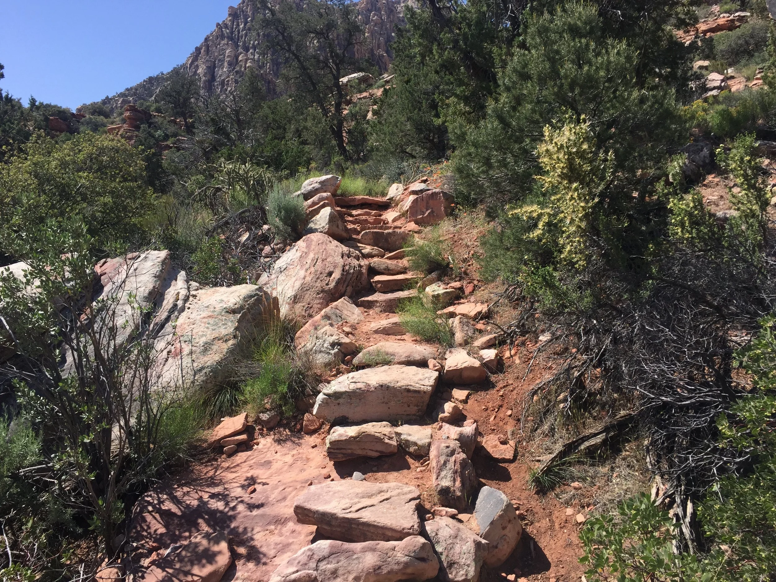 First set of stairs to finish the hike. 