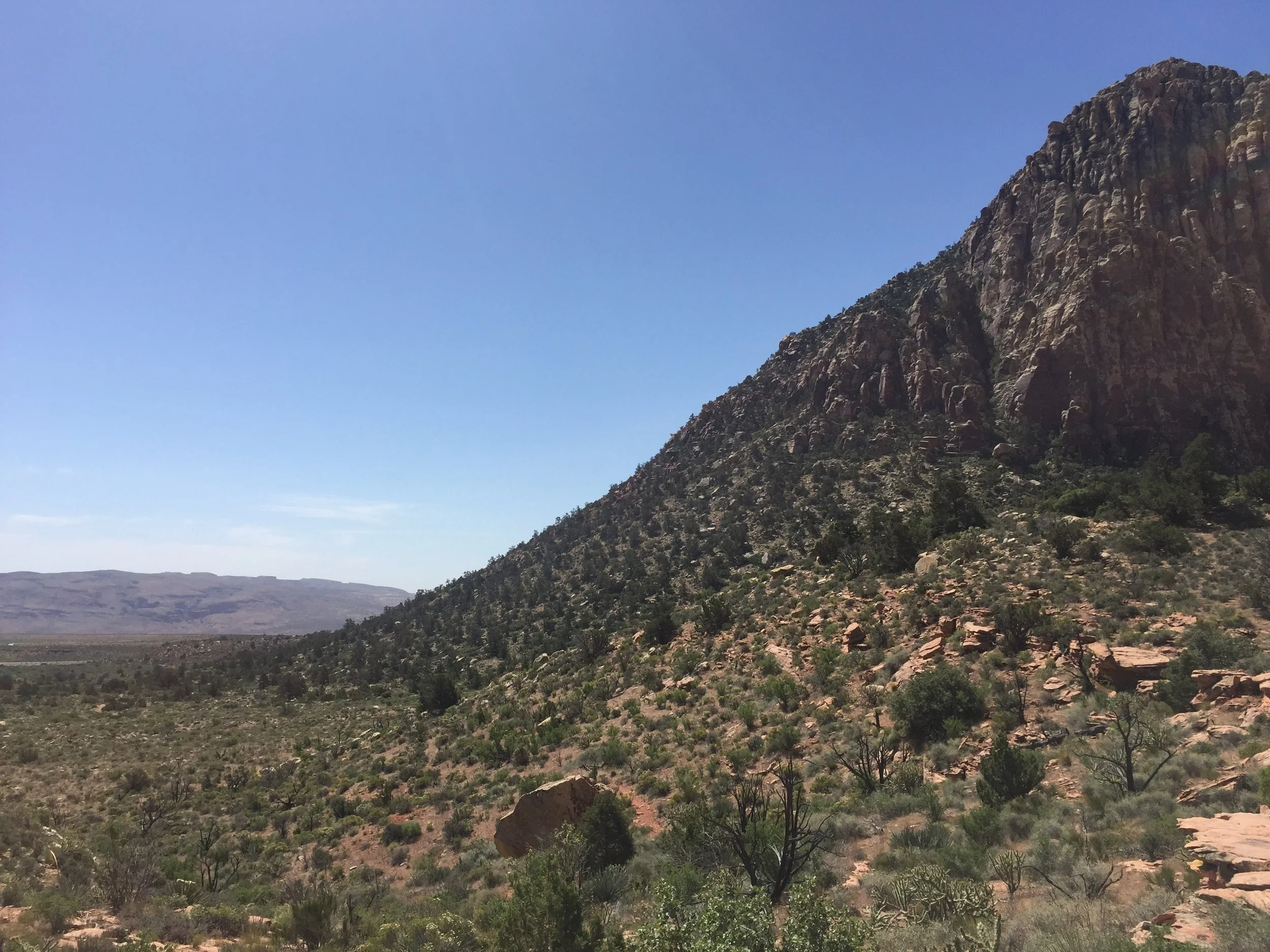 View from the end of the hike. 