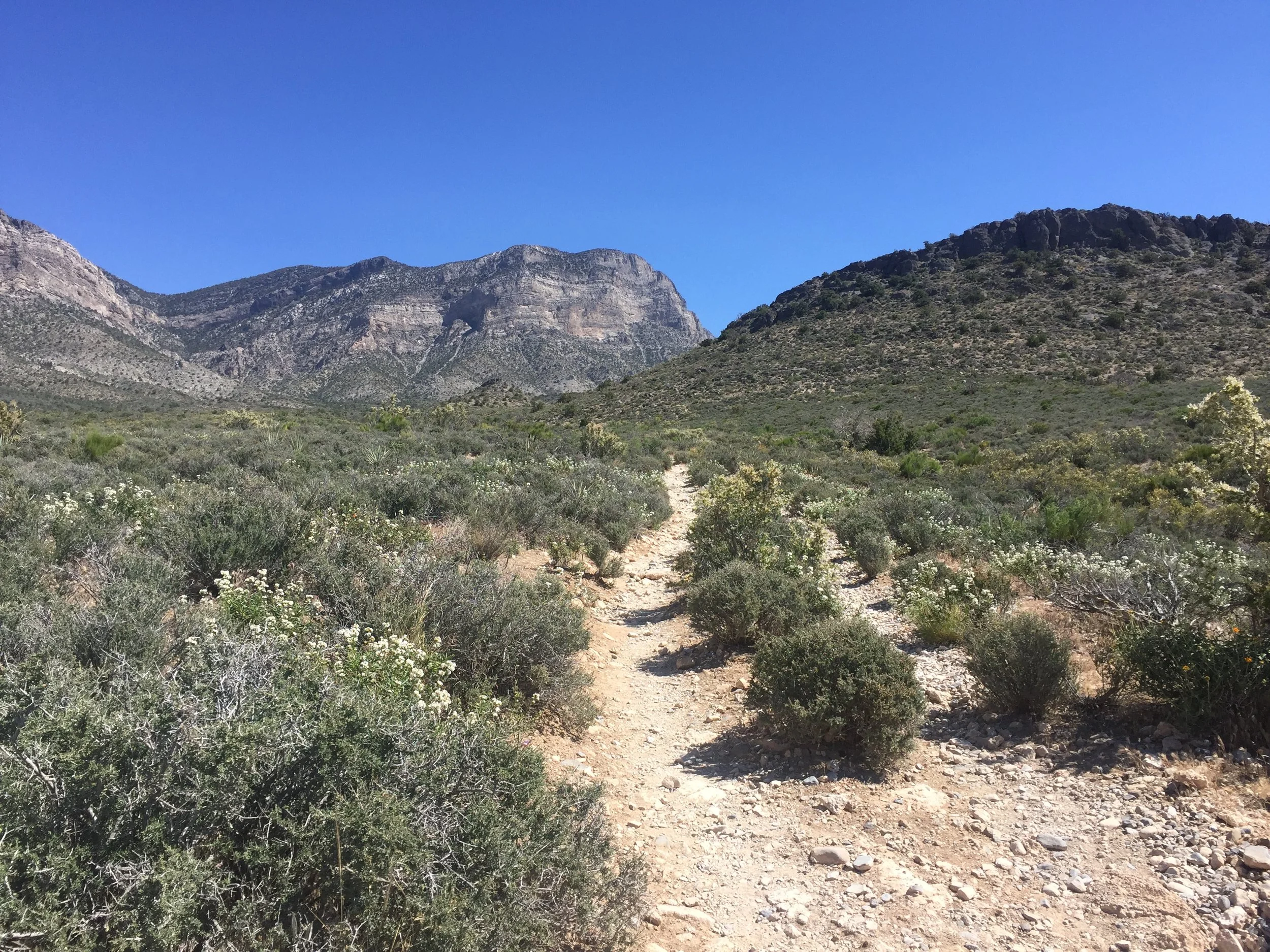The trail gets rockier and narrow. 