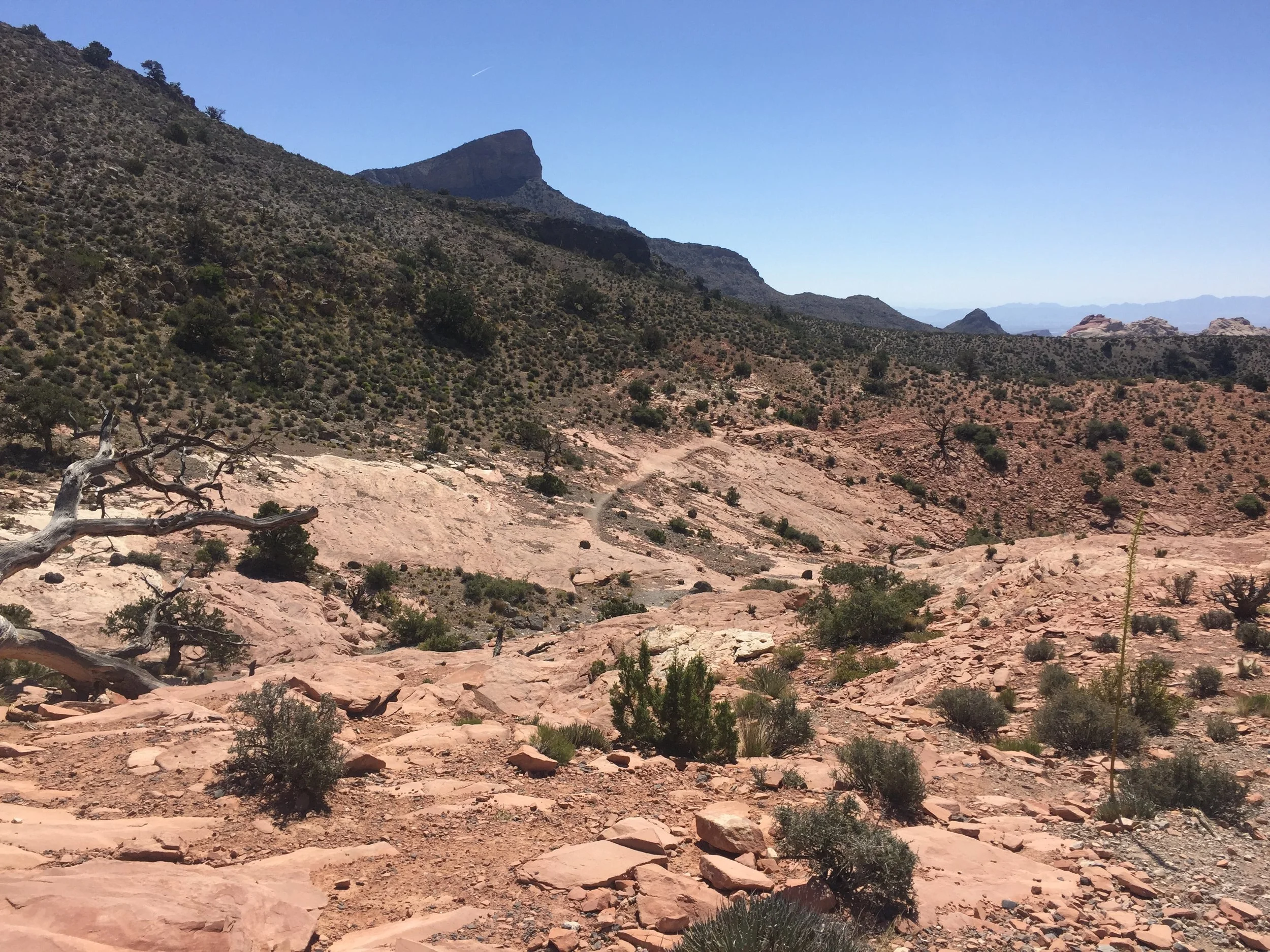 You'll see the trail pick back up on the left. 