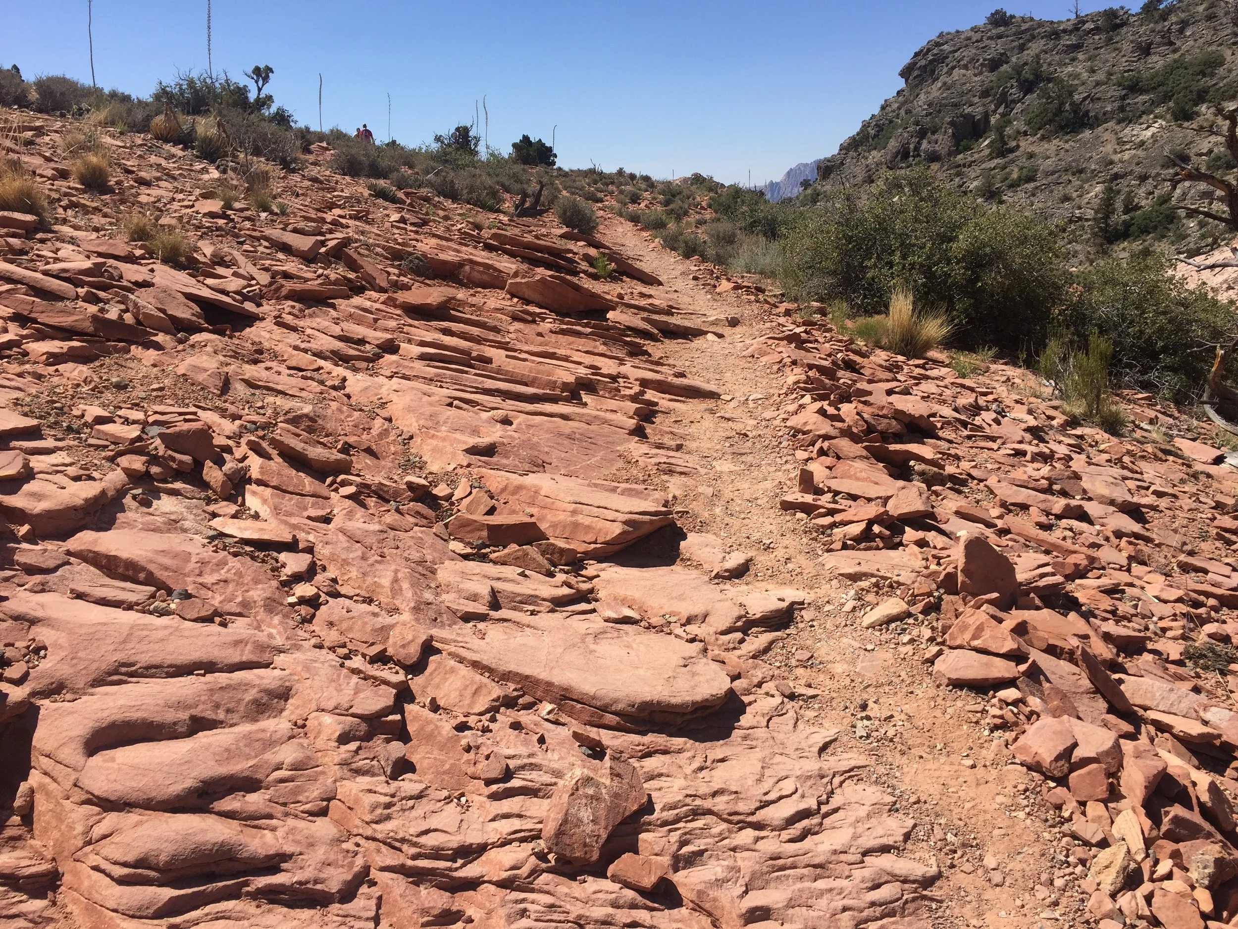 Follow the trail to the overlook. 