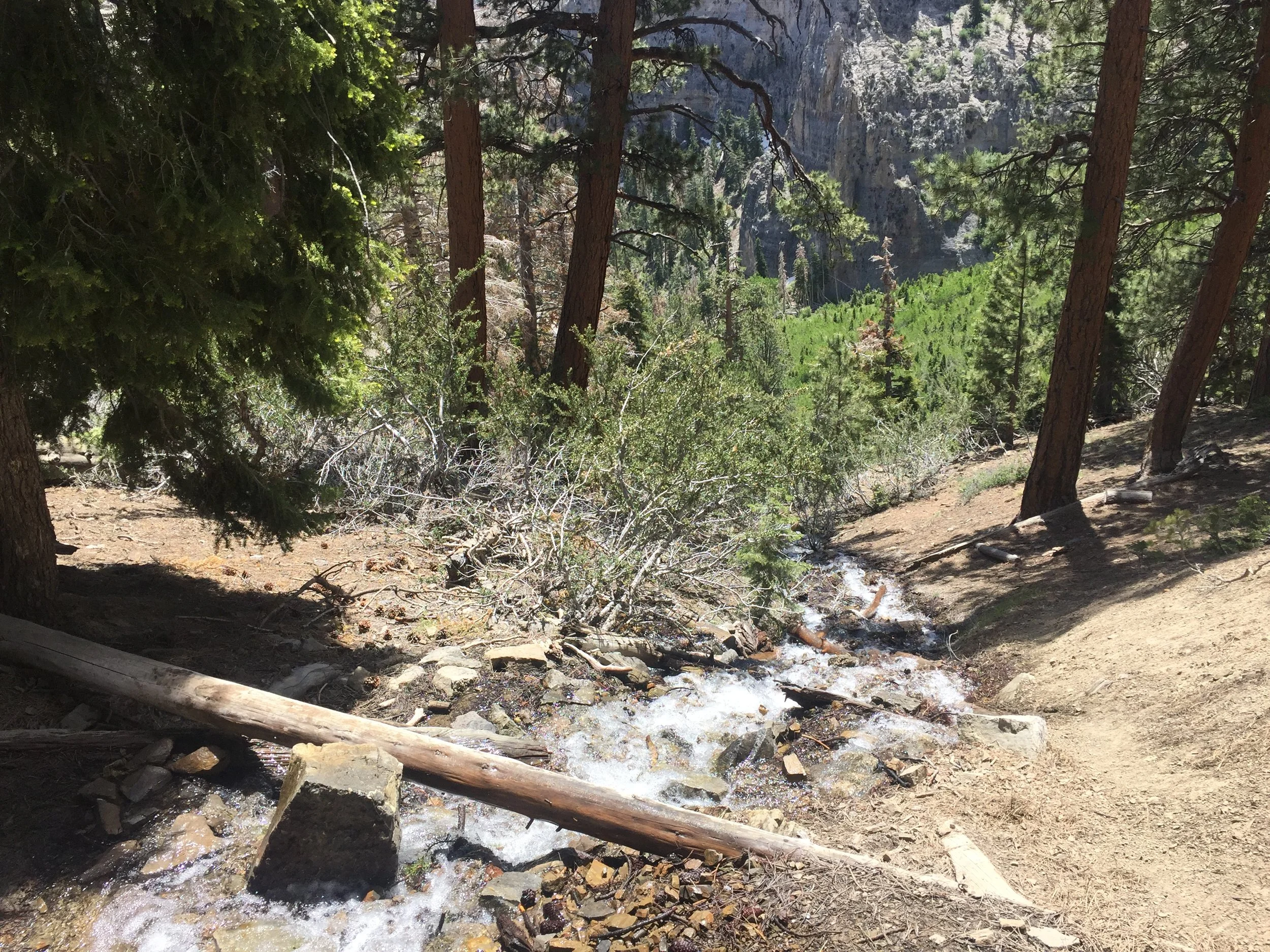 Another water source!