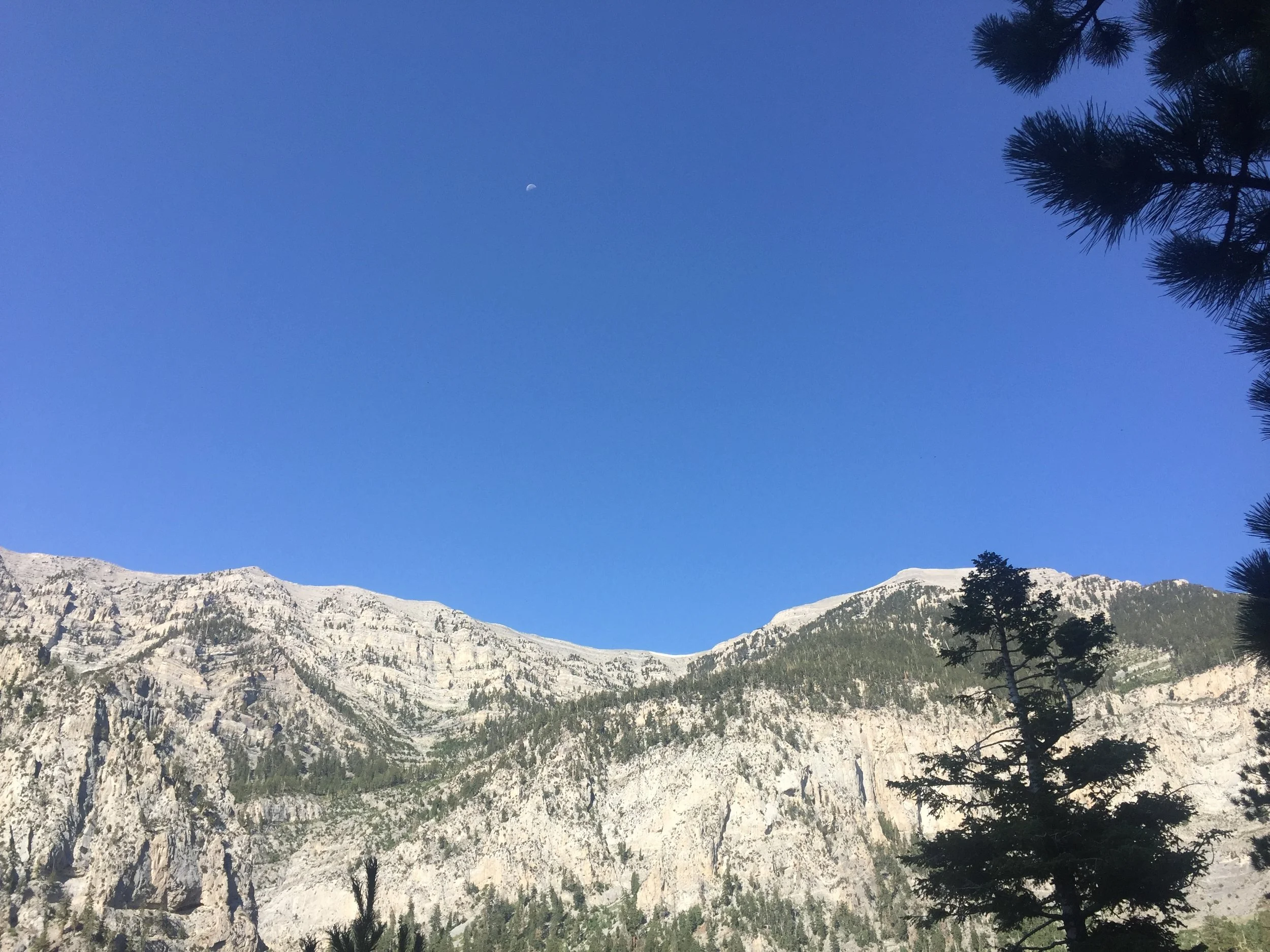 Mt. Charleston, Nevada. 