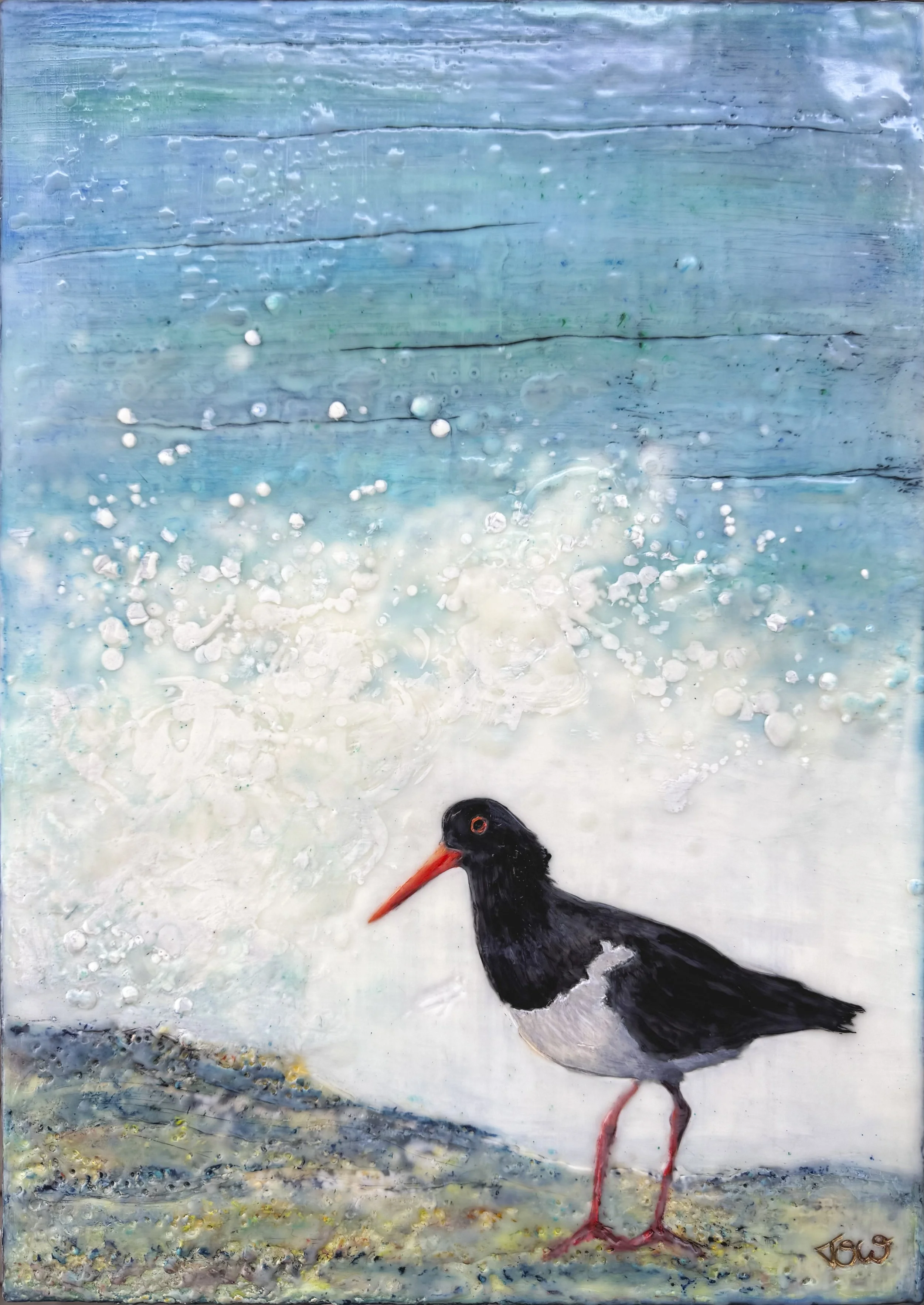 Original Australian coastal art of an oyster catcher sea bird by Tanya Ogilvie-White