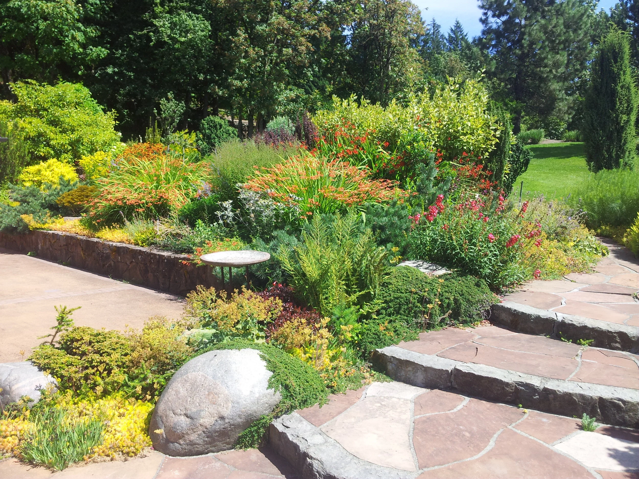 20130729_150006.jpg