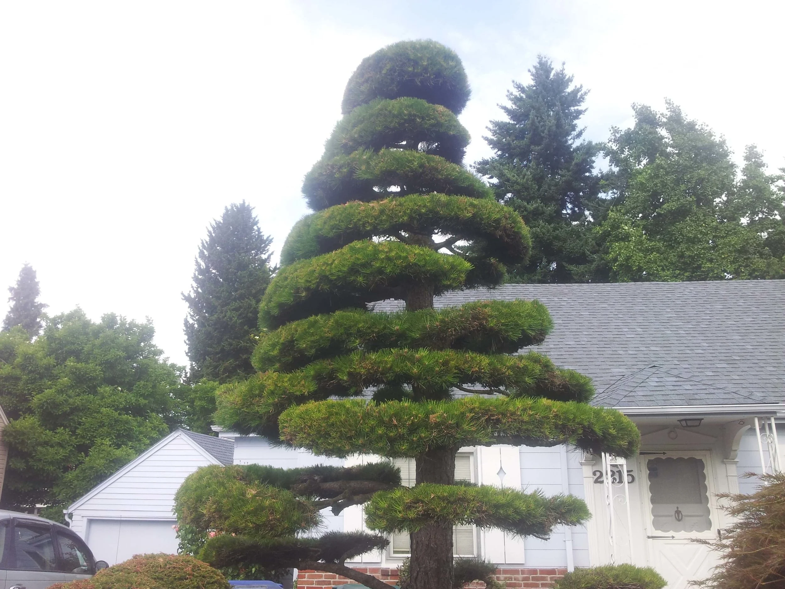 20130716_093643.jpg