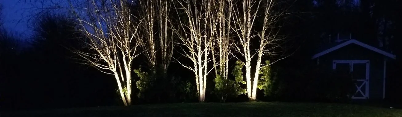 landscape lighting 2.jpg