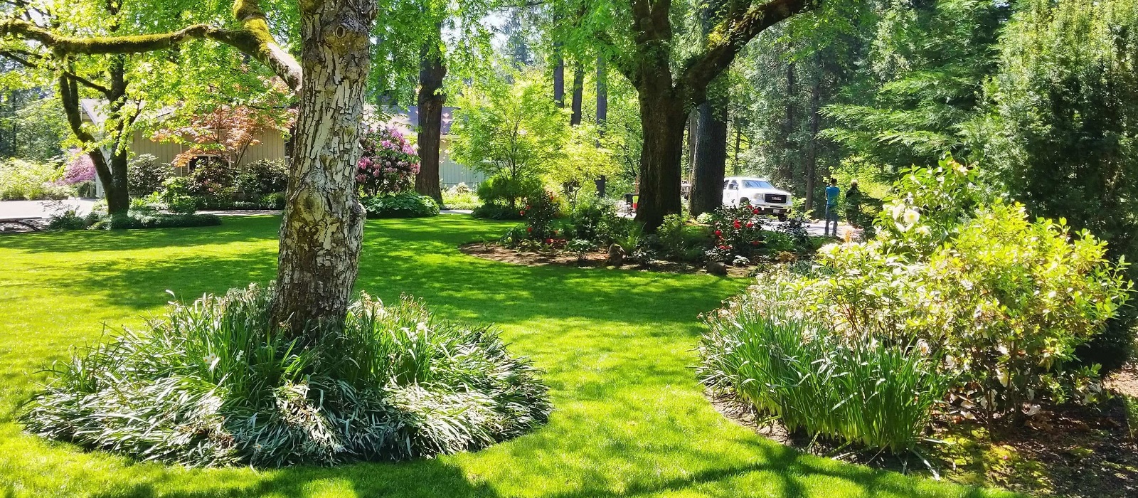 portland-landscape2.jpg