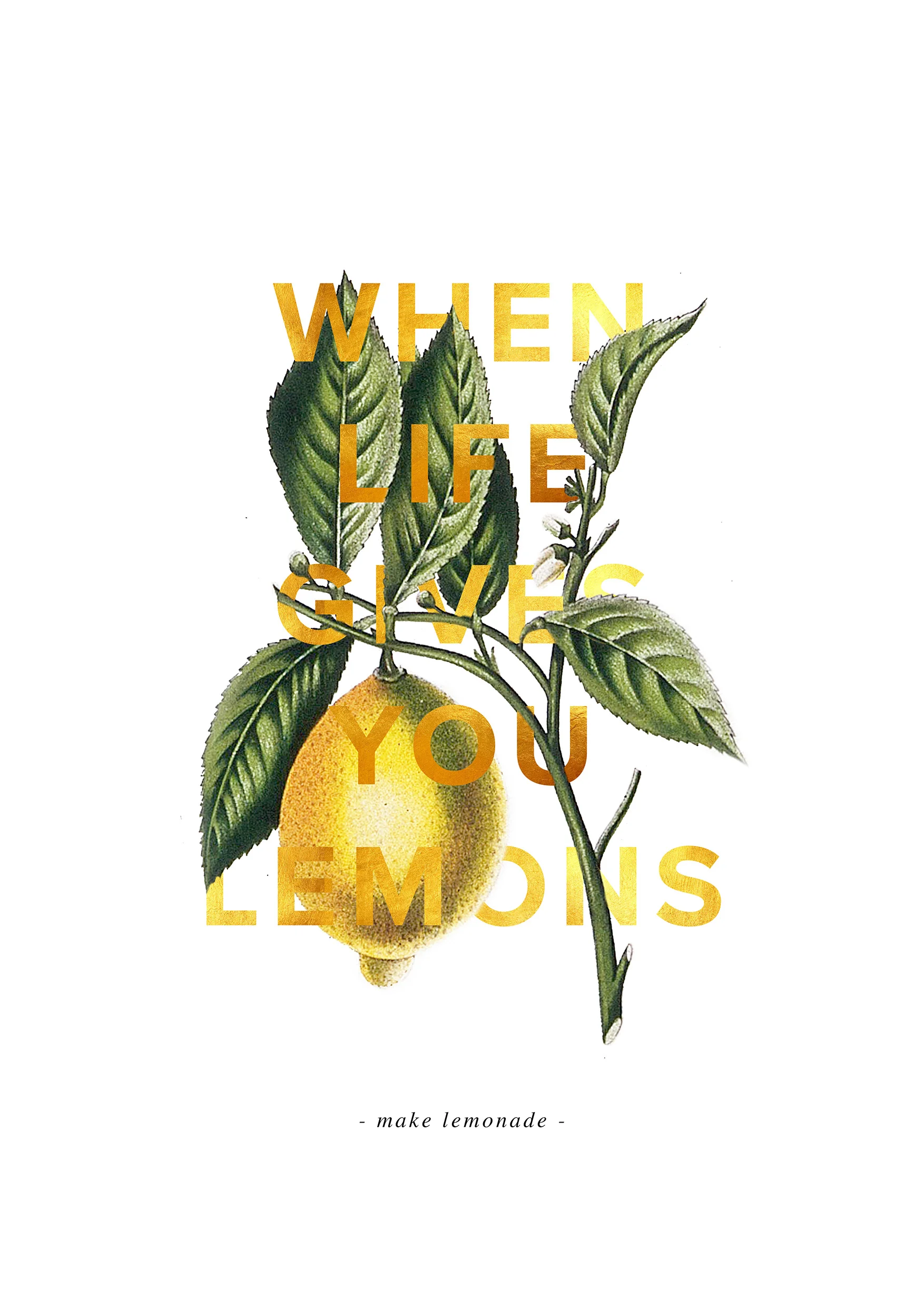 lemoon white.jpg