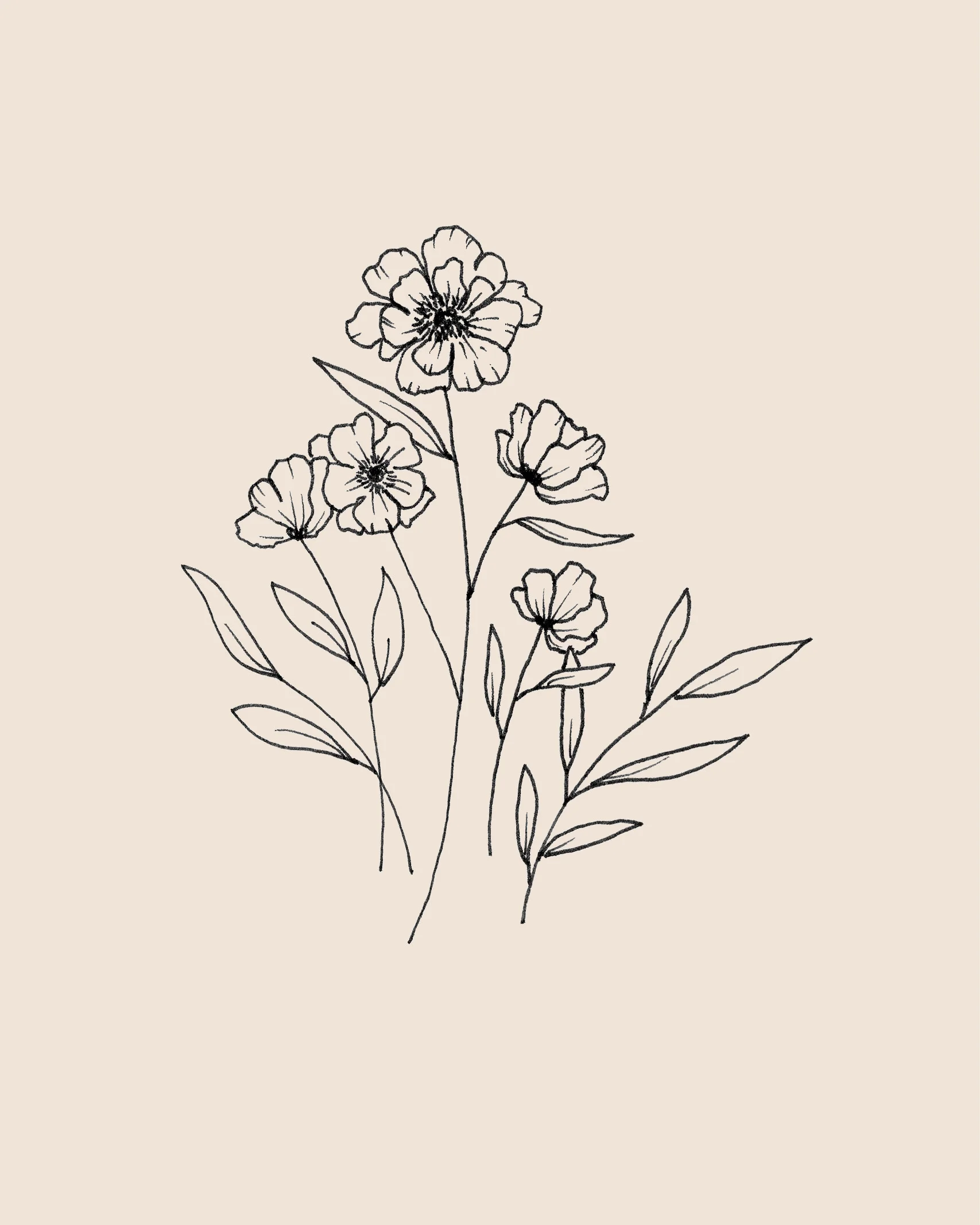 drawing8.jpg