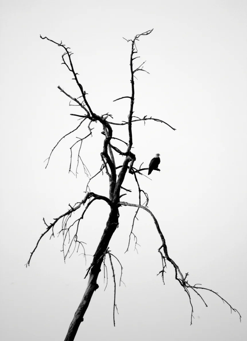 Hunger. Gundmi, Karnataka