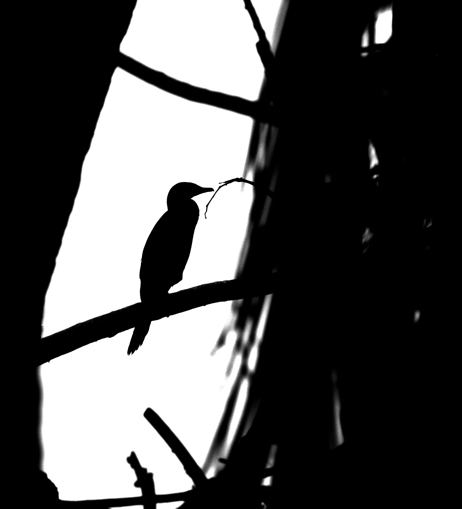 Fisherman. Gundmi, Karnataka