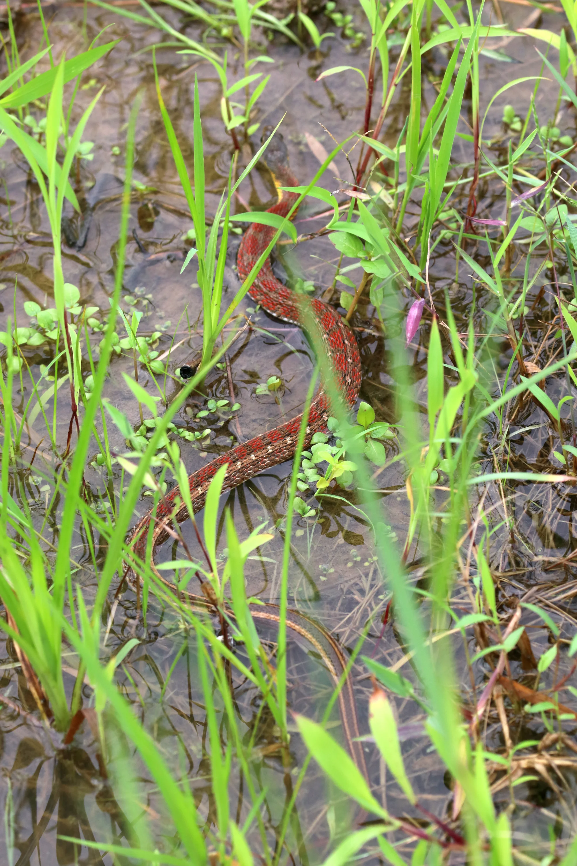 IMG_3995.jpg