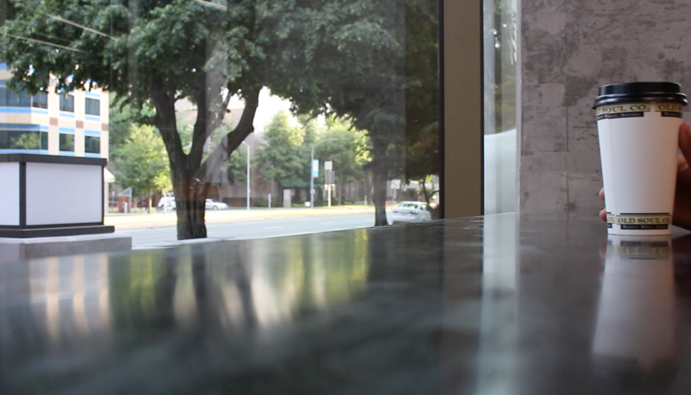 Del Olvido a la Vida