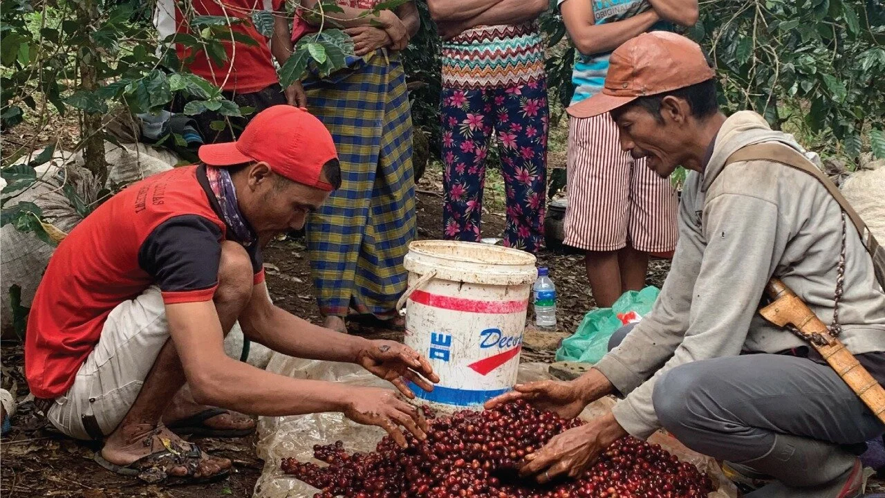Perjalanan Tuang Coffee - Sebuah Perjuangan Memaksimalkan Potensi Para Petani Kopi di Flores.