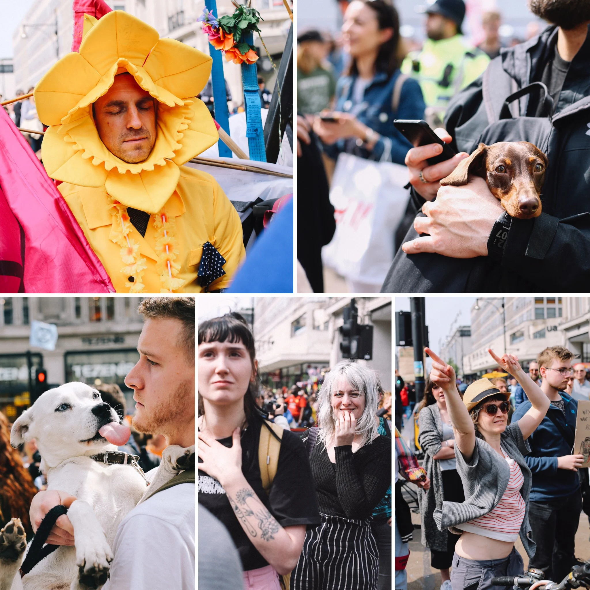 DA4D16D9-3CB3-462A-8D9D-8FA439D92765 2.JPG