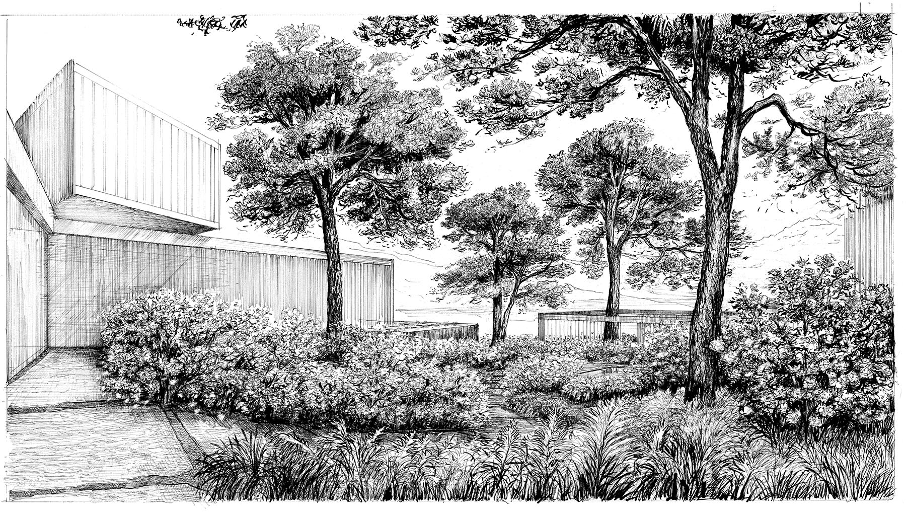 courtyard perspective (drawn by bruno moser/ enea landscape architecture)