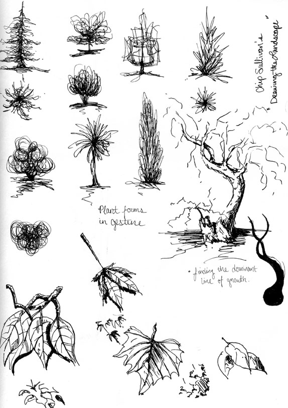 plant representation studies