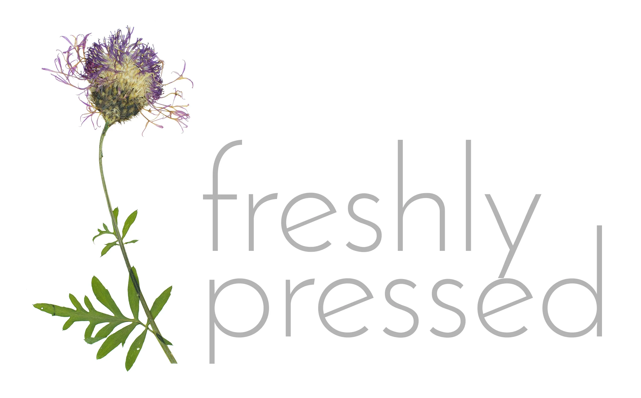freshly-pressed.jpg