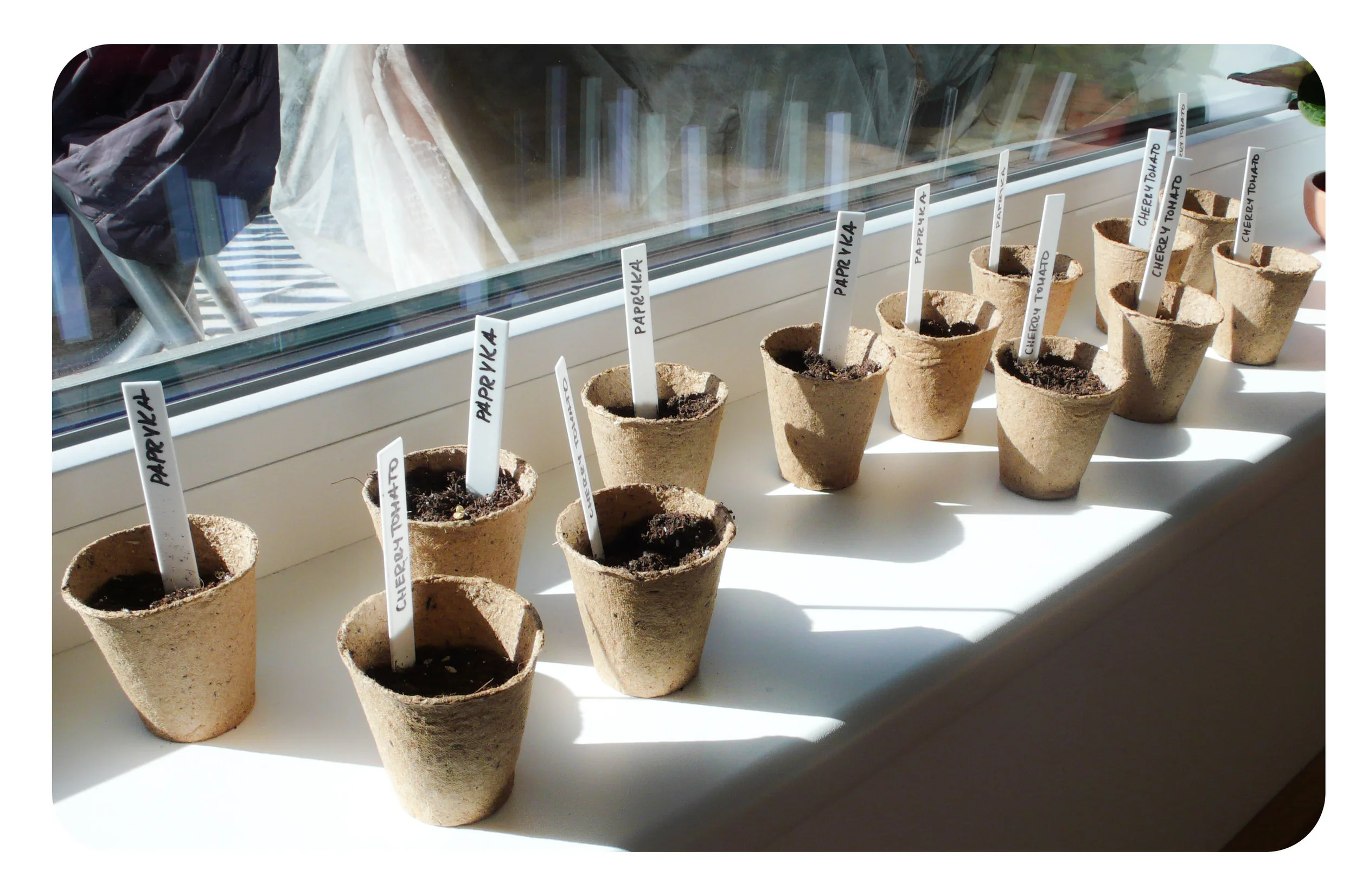 planting7.jpg