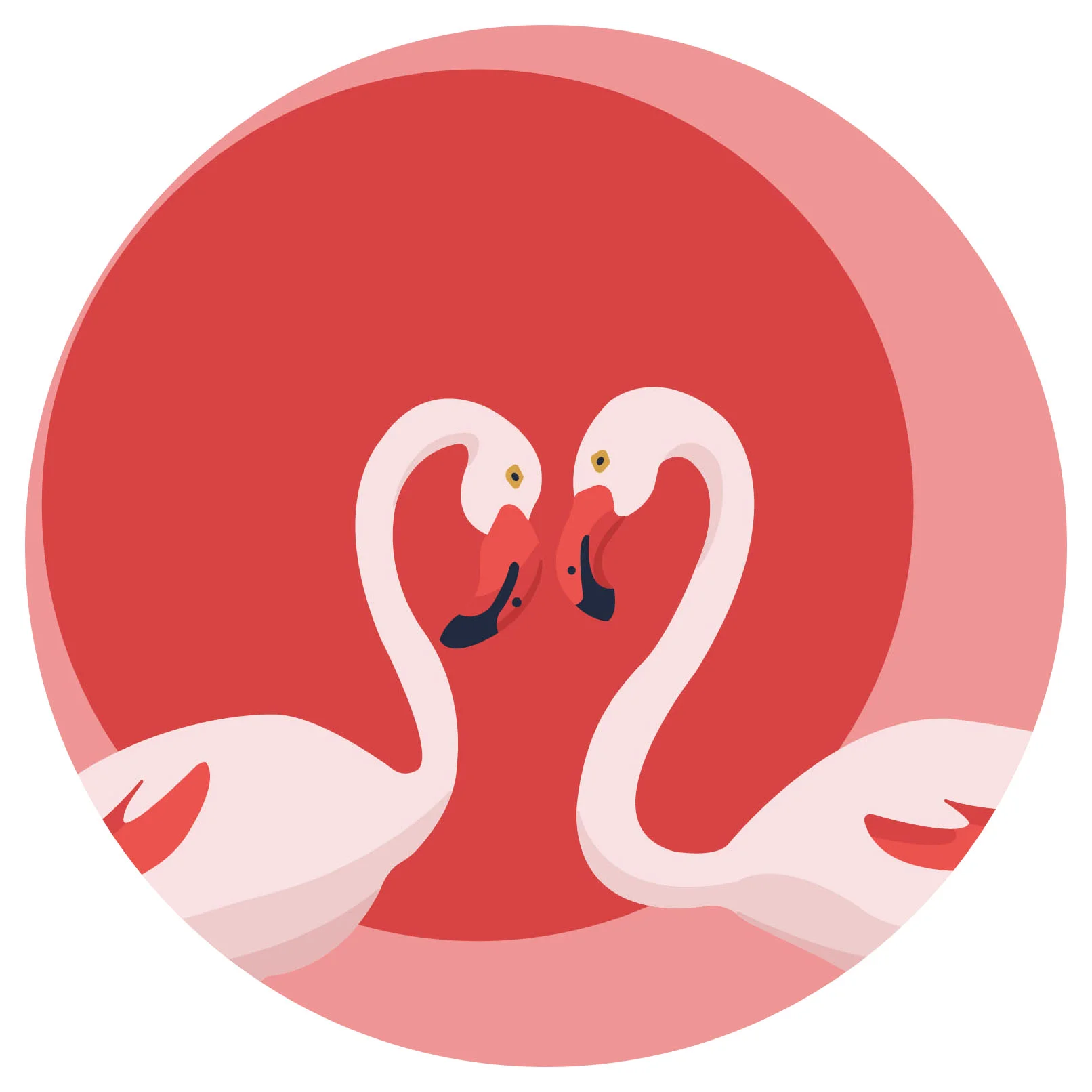 flamingos blog.jpg