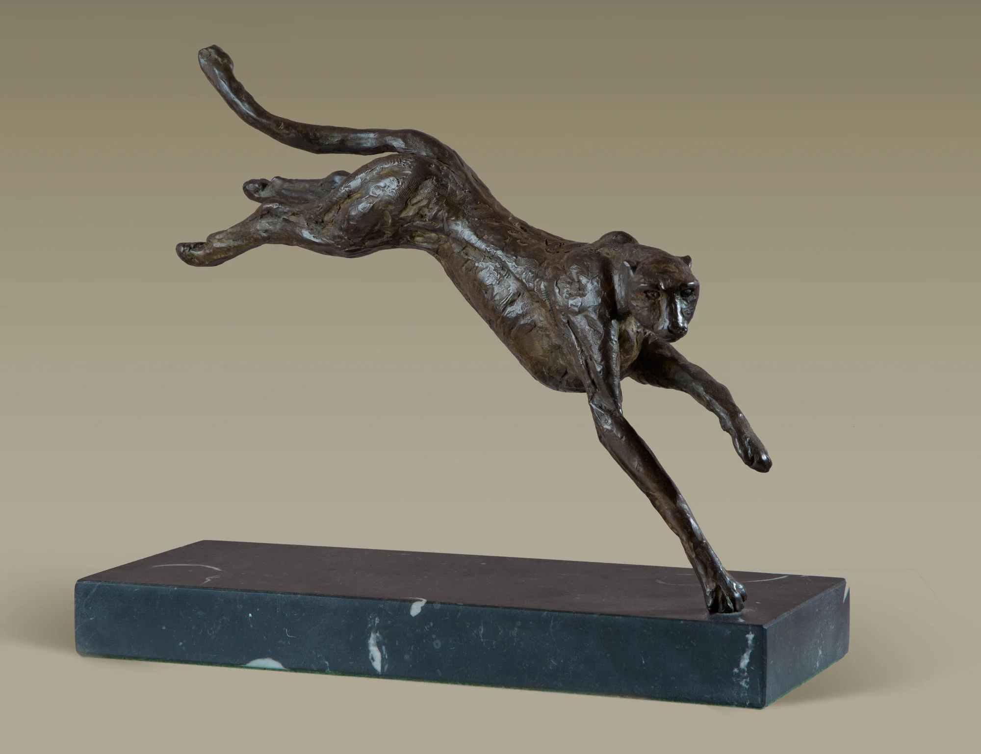 Cheetah, bronze - 30x23x6 cms
