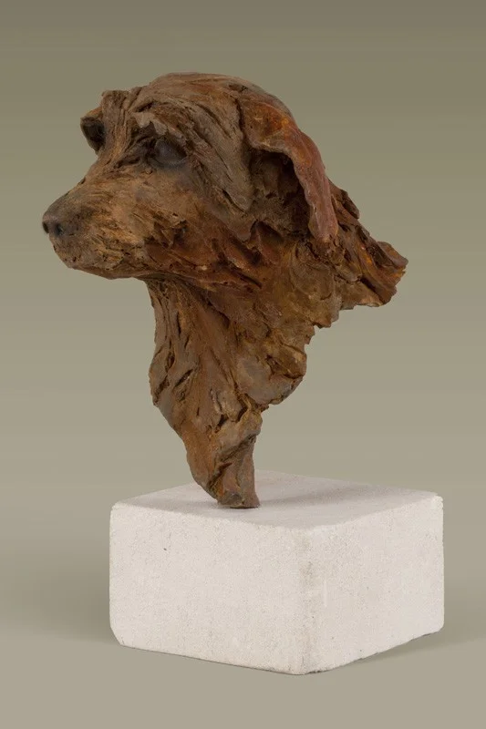 Norfolk terrier, lifesize cold cast iron