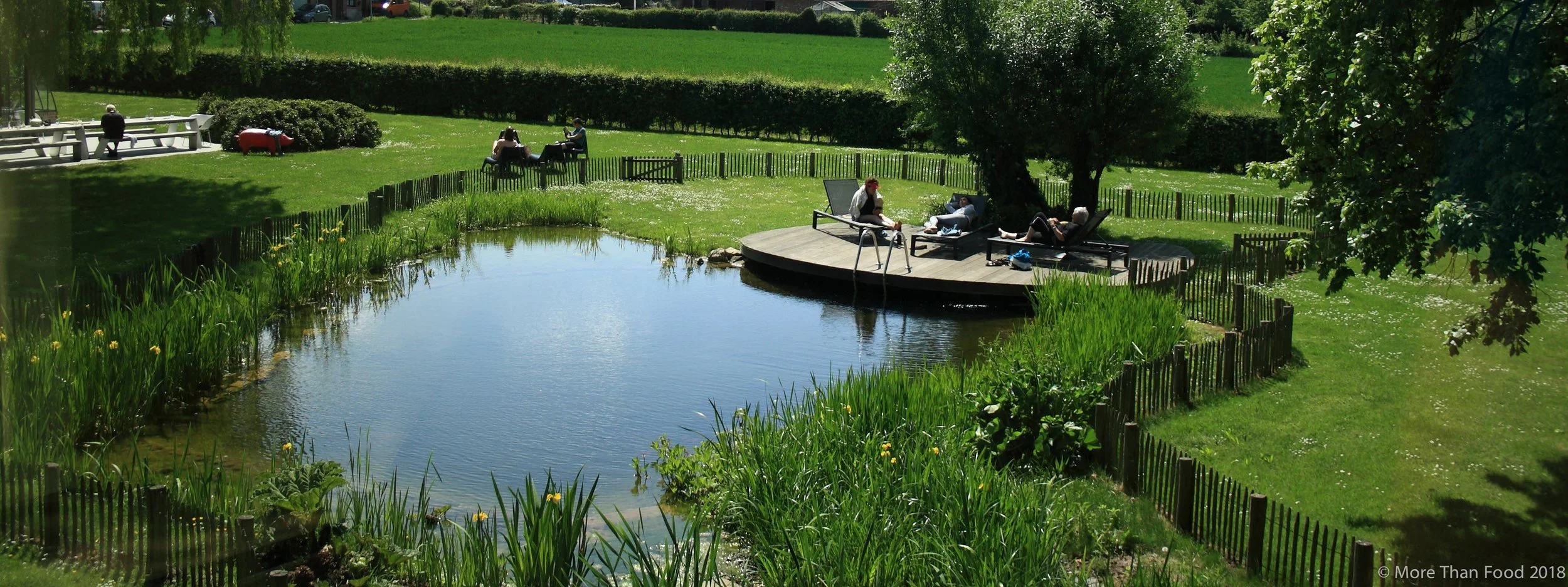 Relaxen bij de zwemvijver