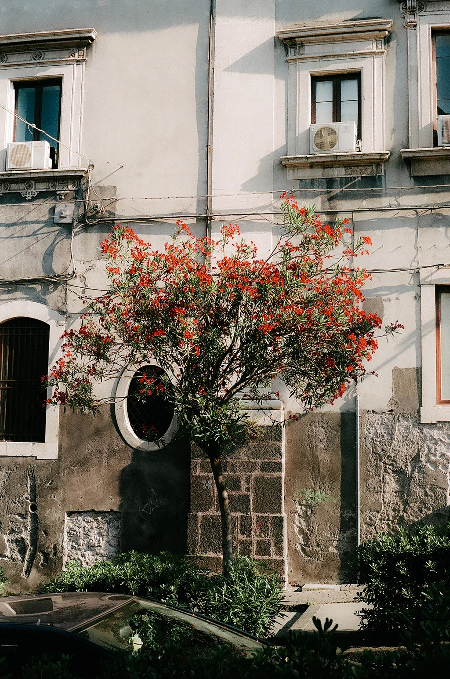 wlm_sicily_20.jpg