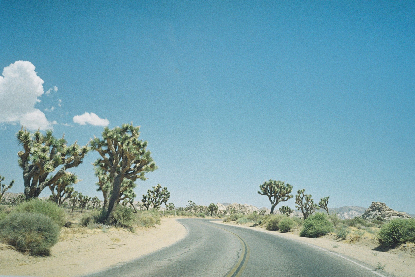 wlm_californiaroadtrip_00.2.jpg