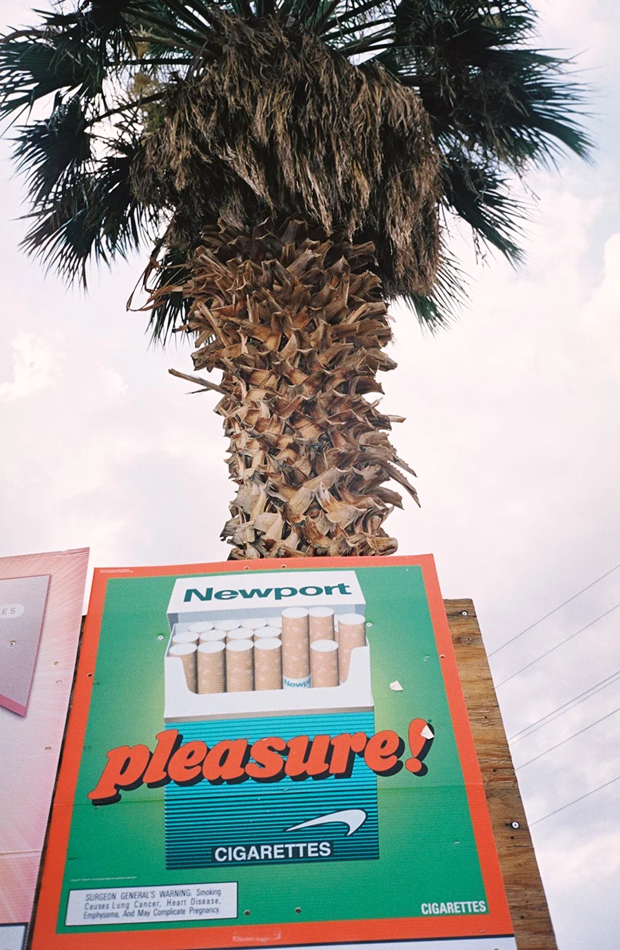 wlm_californiaroadtrip_22.jpg