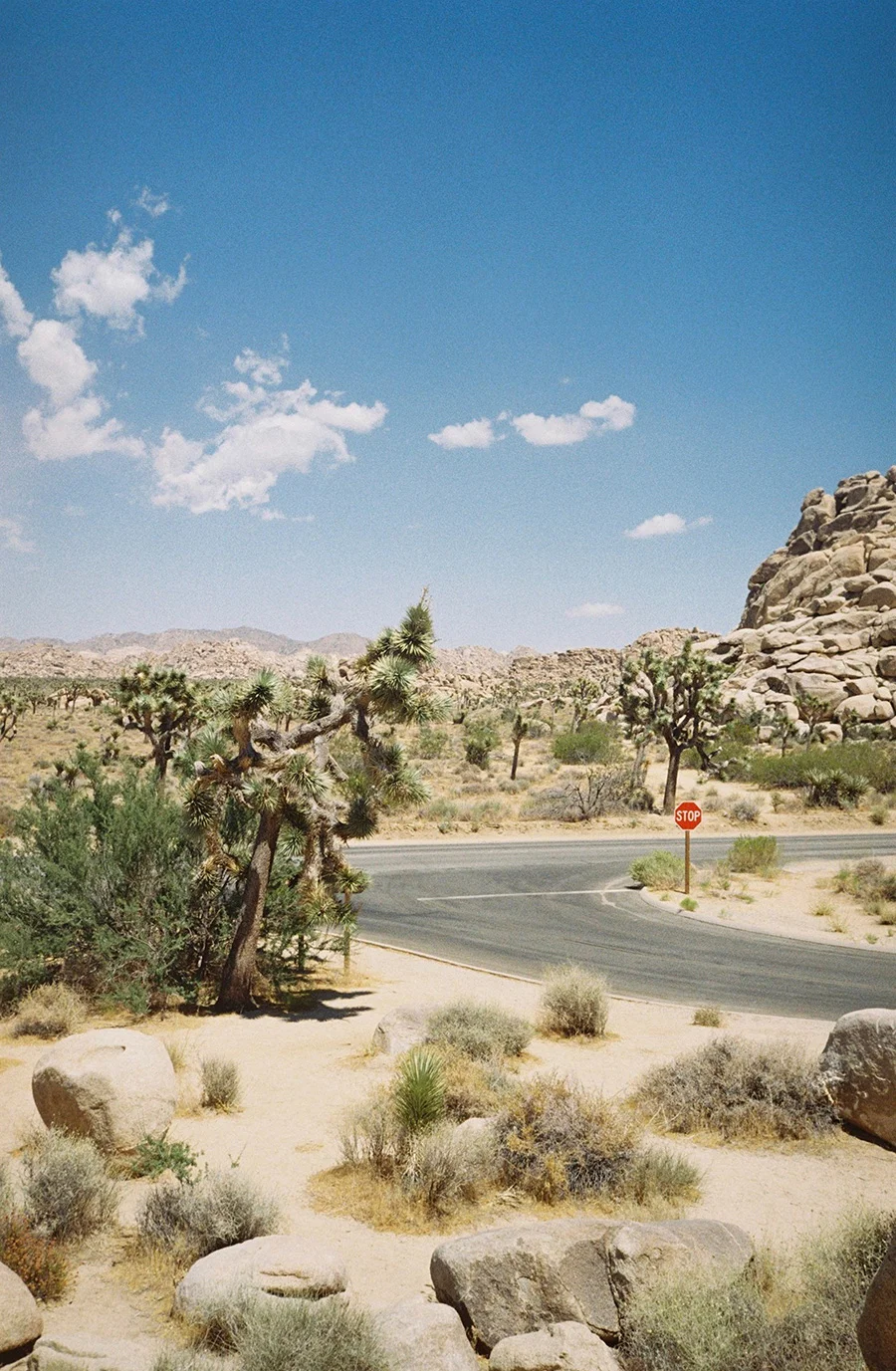wlm_californiaroadtrip_17.jpg