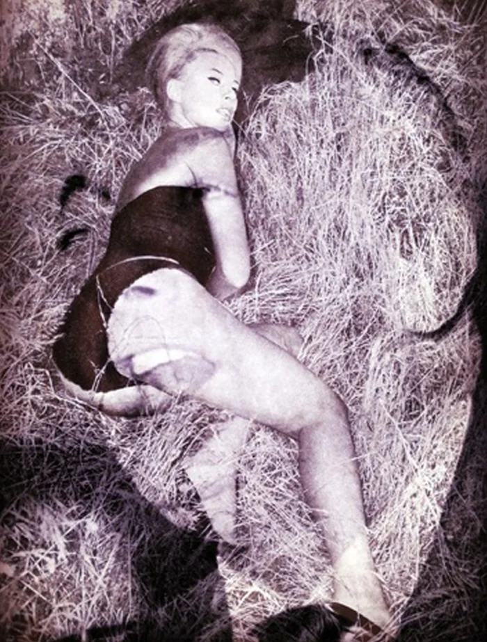 wlm_paologiardi_11.jpg
