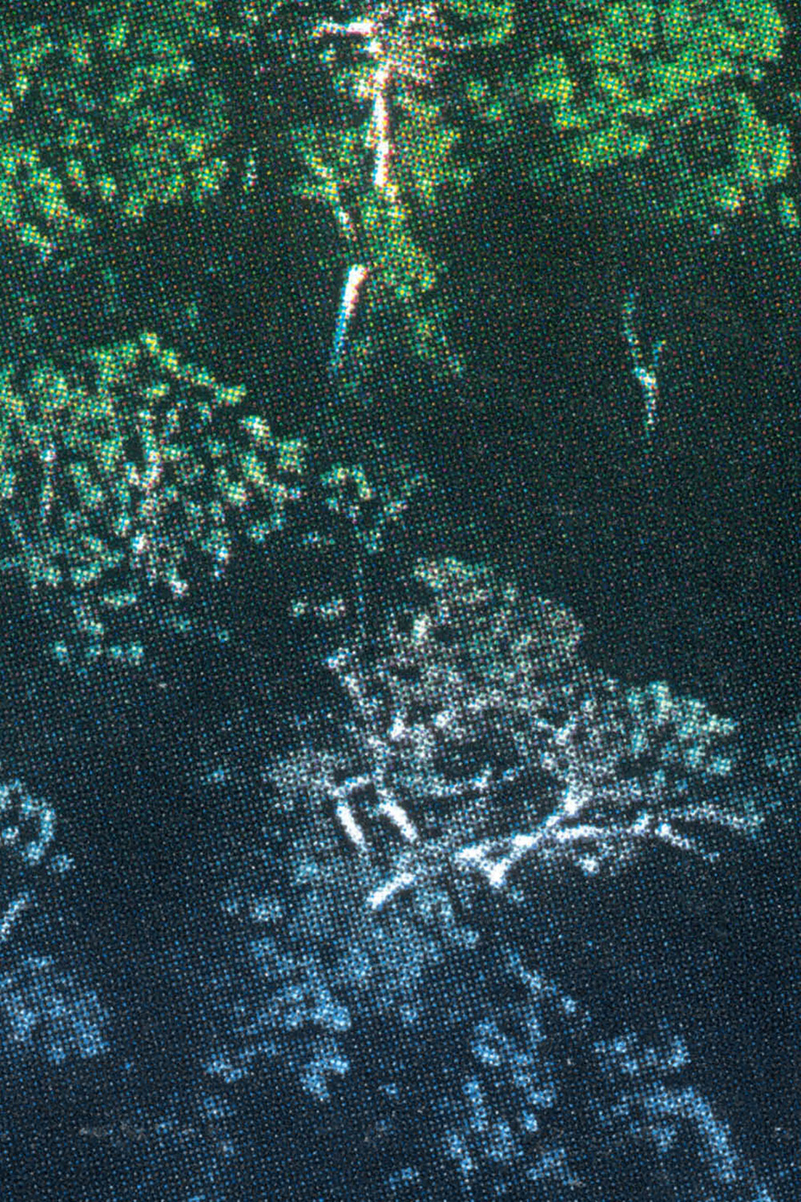 wlm_elsaleydier_04.jpg