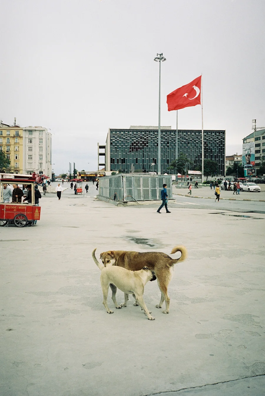 wlm_sehir_06.jpg
