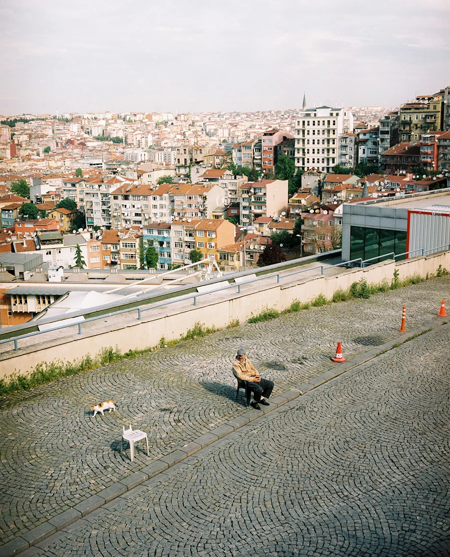 wlm_sehir_17.jpg