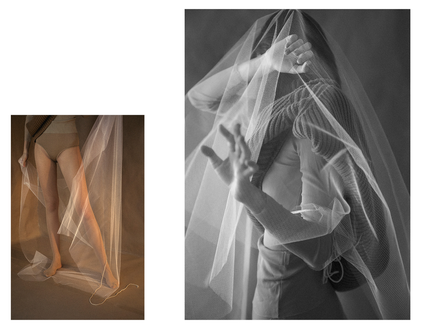 wlm_whisperingvolumes_02a.jpg