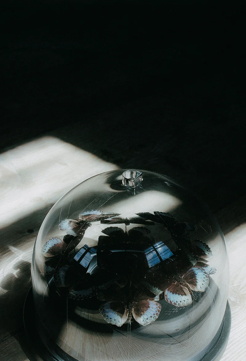 lvt_FW2017_still-00019_web8.jpg