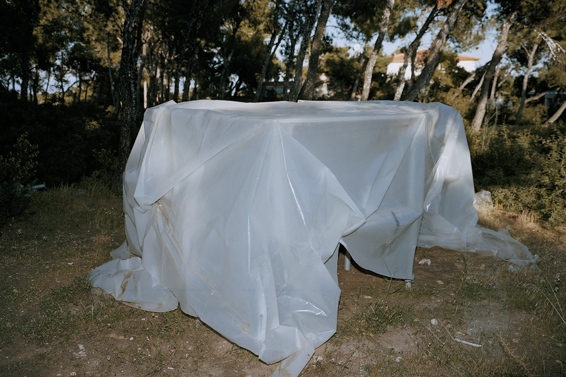 wlm_kostas_05.jpg