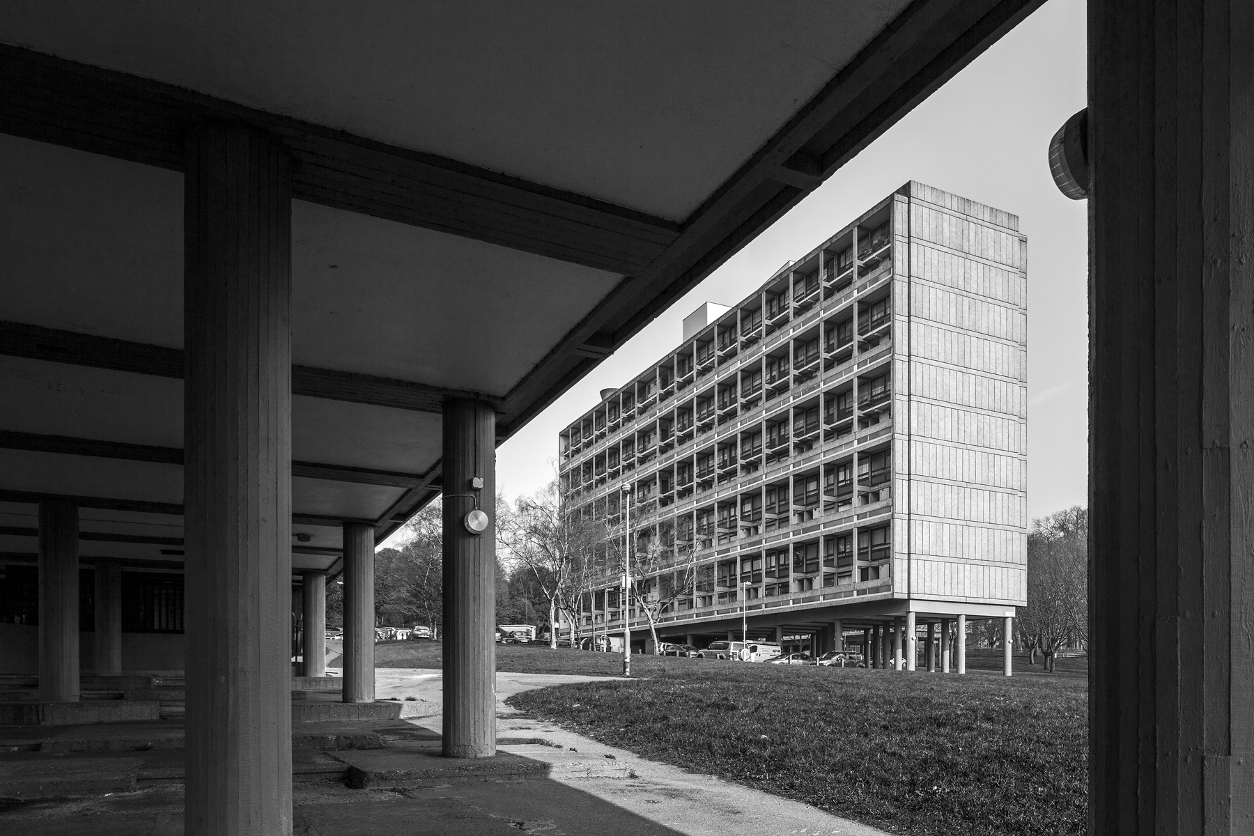 wlm_phipps_01.jpg