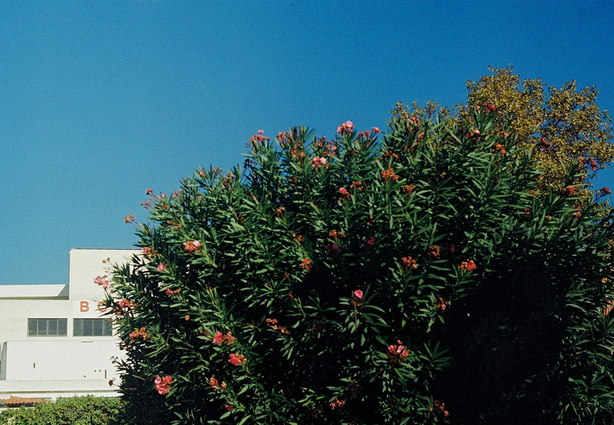 00005_Alges_Joana-Krawczyk_web.jpg