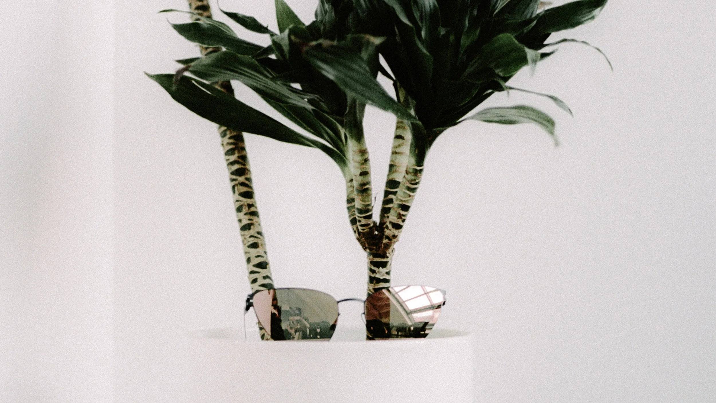 intro_mykita.jpg