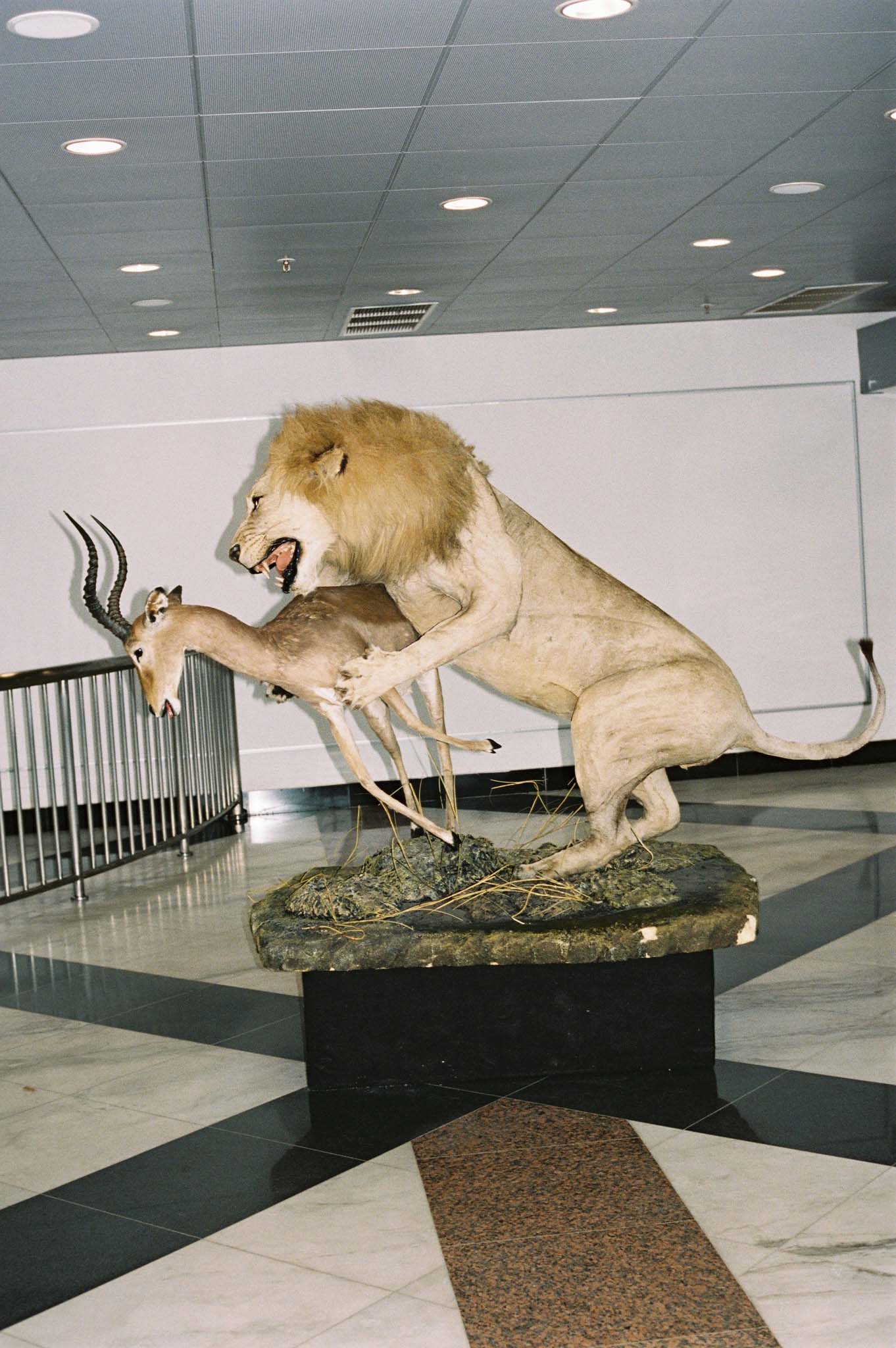 Africa_8341_02.jpg