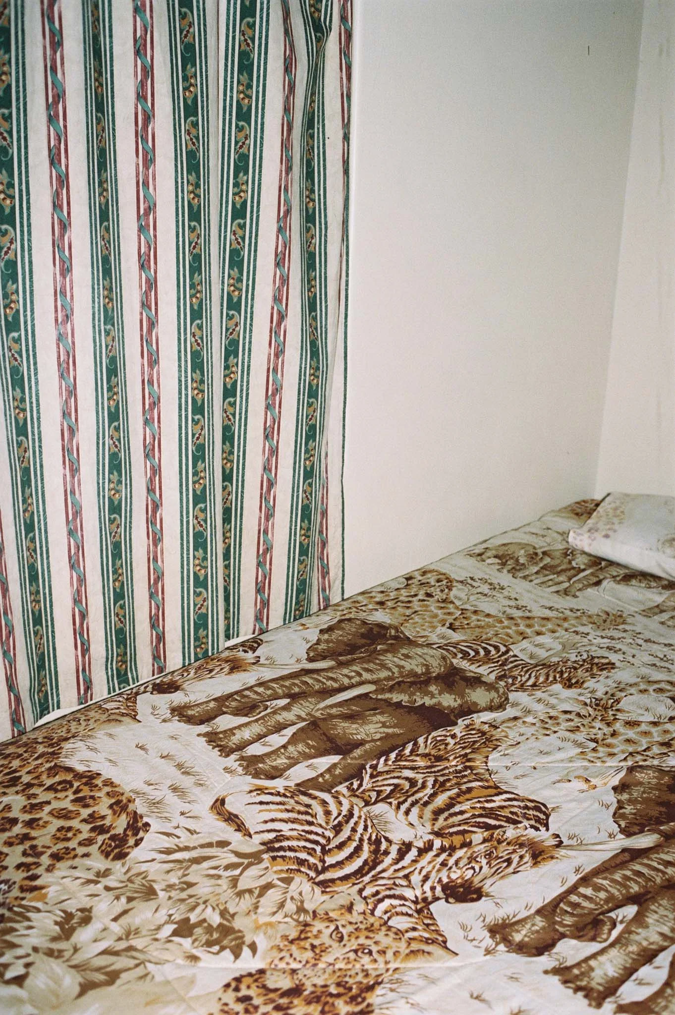 Africa_8341_25.jpg