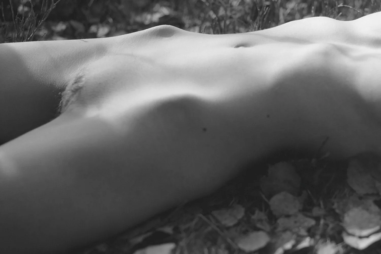 Massimo Leardini — Figures in Landscape